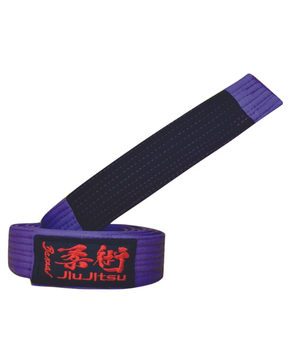 FAIXA ESPECIAL DE JIU JITSU - Image 4